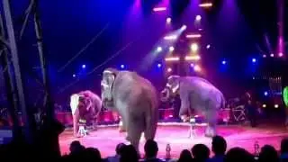 37.festival international du cirque de Monte- Carlo
