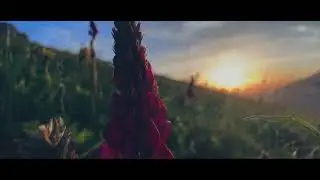 Хъӕриу 16.06.24