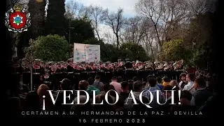 ¡VEDLO AQUÍ! | Certamen Hermandad de la Paz, Sevilla | 15 febrero 2025
