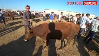 МОЛ-ҚЎЙ БОЗОРИ НАРХЛАРИ. УРГАНЧ ҚИБЛА БОЗОРИ. ГЎШТ АРЗОНЛАДИМИ?
