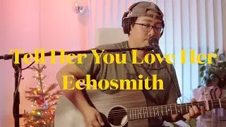 Tell Her You Love Her - Echosmith (Guitar Cover)