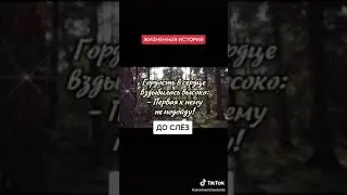 Жизненная история. До слёз