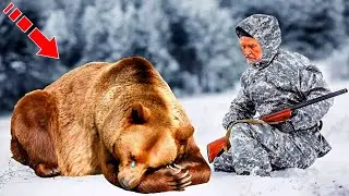 The bear fell at the feet of the old hunter. The reason will surprise you!