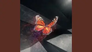 Q？