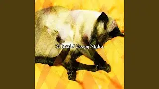 Nights Rest