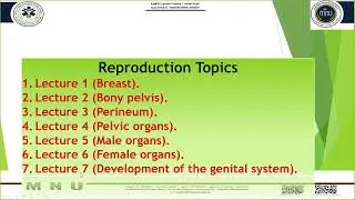 Reproduction Final Revision د وائل السعيد