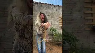 A família que mora junto kkk 