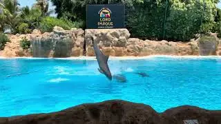 Tenerife 2023