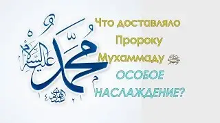 Что доставляло Пророку Мухаммаду ﷺ особое наслаждение?