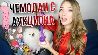 Купила Потерянный ЧЕМОДАН СЛАЙМОВ На Аукционе! А там...