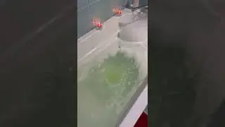 Ты только дай мне круг, если вдруг я начну тонуть… #круг #matrang