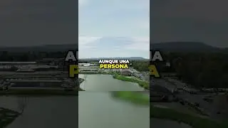 Cómo obtener la ciudadanía estadounidense  Todo lo que necesitas saber