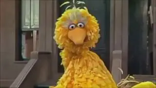 Muppets at the Presidential Debates