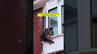 Интересно, что про нас там говорят 