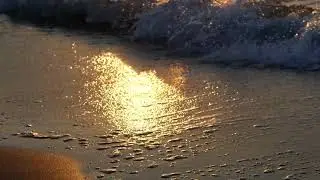 Be water, my friend