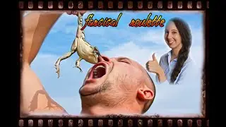 я не очень умный. чат рулетка