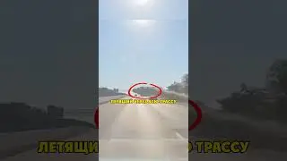 Epic Flight Across the Highway