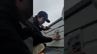 day in the life