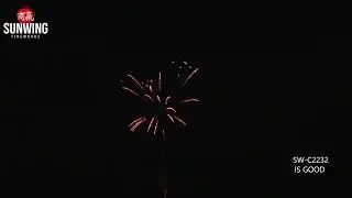 Is Good! - Sunwing Fireworks - 200 Gram - SW C2232