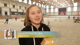 Домашние животные" : "Чемпионат России по аджилити"
