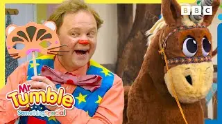 Mr Tumble's Favourite Animal Friends 🐷🐶 | 42+ Minutes of Fun! | Mr Tumble and Friends