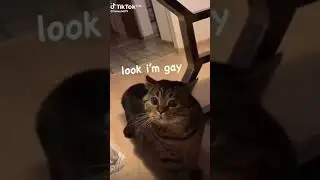YOU ARE WHAT?!