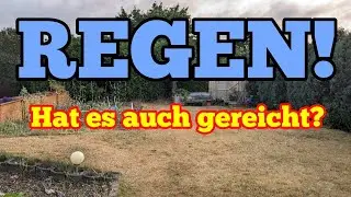 Regen... endlich - Aber reicht der Regen aus oder geht die Dürre im Garten weiter?