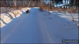 Все мы немножко лошади...