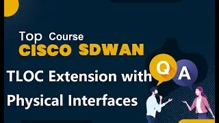 Cisco SD-WAN TLOC EXtension with physical Interfaces