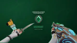 Just an Ascendant guy trying to hit immo #1