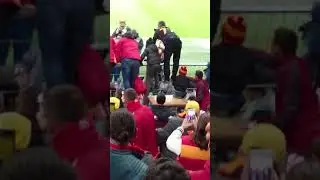 İmparatorun dönüşü