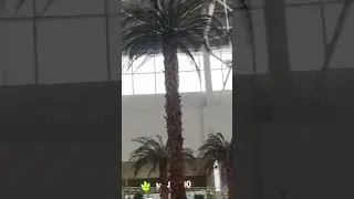 От -40 до +4 градусов