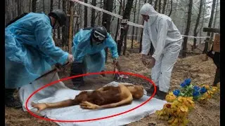 Scientists Found An Alien , What Happened Next Shocked the Whole World