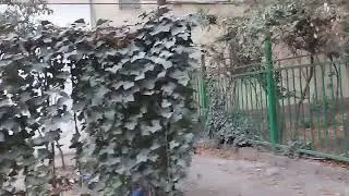 TJ, Душанбе., Черный двор 2