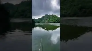 Ловля рыбы на (ВИНОГРАД)