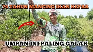 3 jenis Umpan Jitu Mancing ikan Kepar di rawa dan sawah