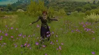 [Witcher 3][Side stuff] Orianna's enjoying last weeks before Geralt arrival