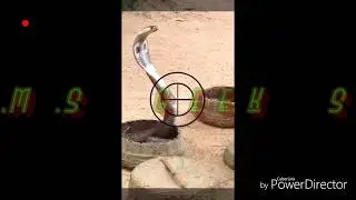 ANIMAL PLANET [ Sri lanka ]