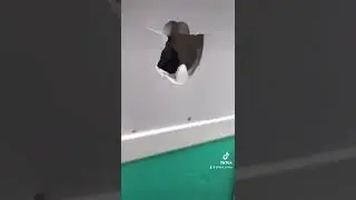Школа кз