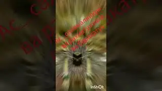 изге жомга иртэсе мобэрэк булсын!
