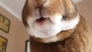 Омномлом....😁😁😁