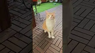 Где ты был?
