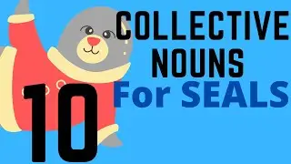 10 Collective Nouns For SEALS - English Language Creative Writing Vocab and Help
