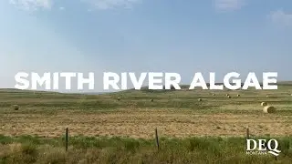 Smith River Algae Study - Project Update