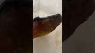 Осетр астраханский - подарки от клиента. Благодарность от души