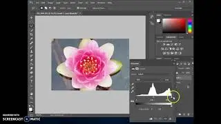Digital Photo: Photoshop Basics P8