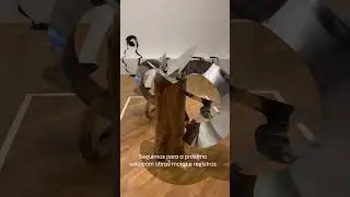 Lygia Clark na Pinacoteca de São Paulo