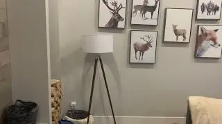 Beautiful Modern Floor Lamp