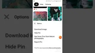 how to download photos from pinterest.........TECHNICAL MASTERS