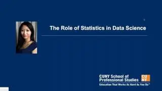 MSDS Webinar: The Role of Statistics in Data Science